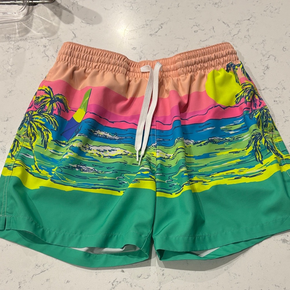 Chubbies Swim Shorts